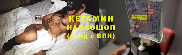 шишки Арсеньев
