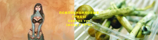 дурь Алзамай