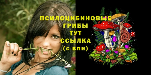 шишки Арсеньев