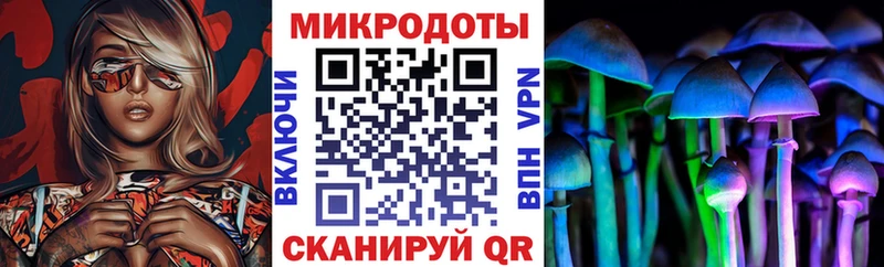 Галлюциногенные грибы MAGIC MUSHROOMS  kraken ONION  Закаменск  даркнет сайт 